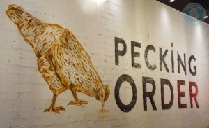 pecking-order-logo