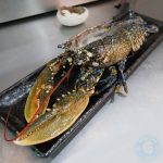Billingsgate lobster Skewd Kitchen Turkish Halal Cockfosters
