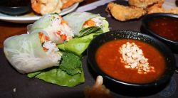Tampopo Pan Asian Halal Manchester Restaurant Curry Spring Rolls