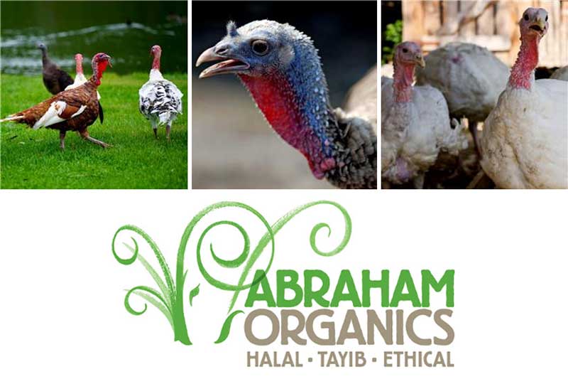 Halal Turkey Online Order Delivery Organic Free Range Abraham Organics