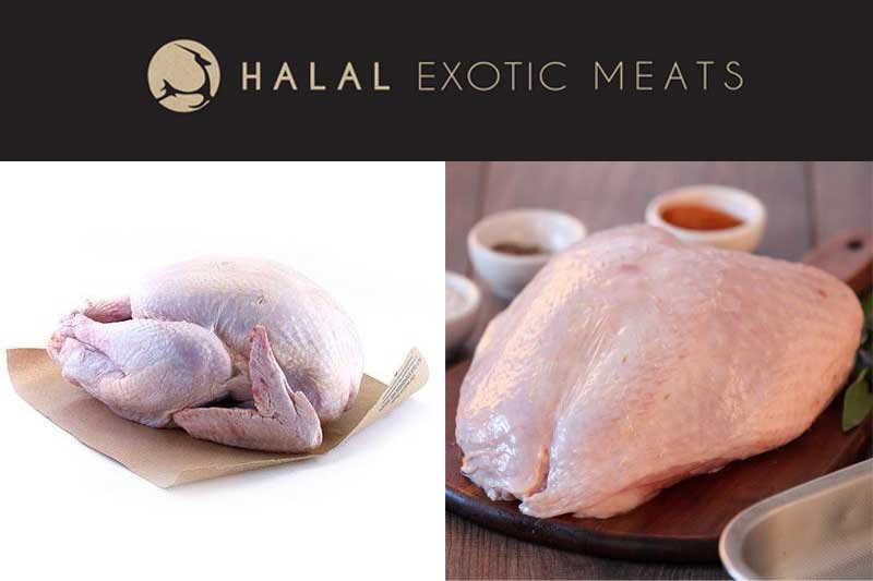 Halal Exotic Meats Turkey Online Order Delivery 