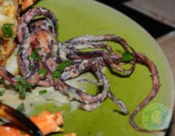 Ocean One beach bar and restaurant Azuri village resort halal food Mauritius squid