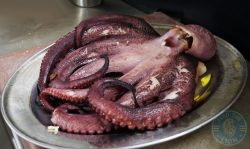 octopus Kahani London Indian Restaurant Halal Curry