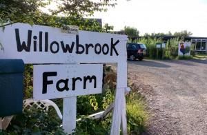 willowbrook farm oxford
