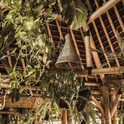 Shelter Cafe Seminyak Bali Indonesia Vegan Vegetarian