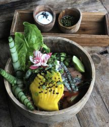 Shelter Cafe Seminyak Bali Indonesia Vegan Vegetarian